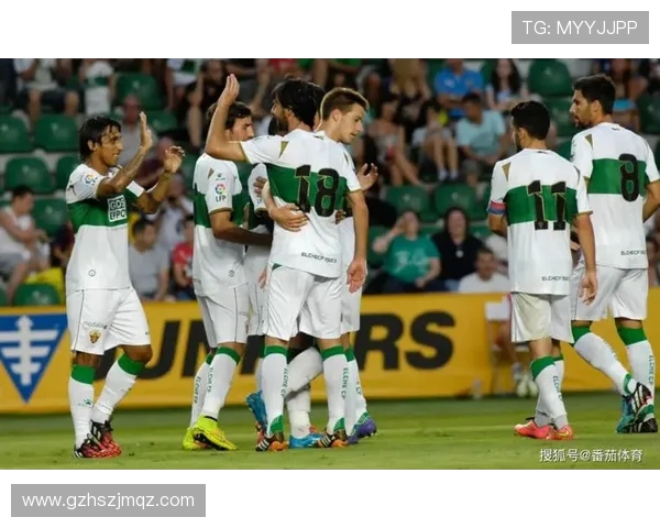 免费卫星直播观看西甲联赛的实用指南